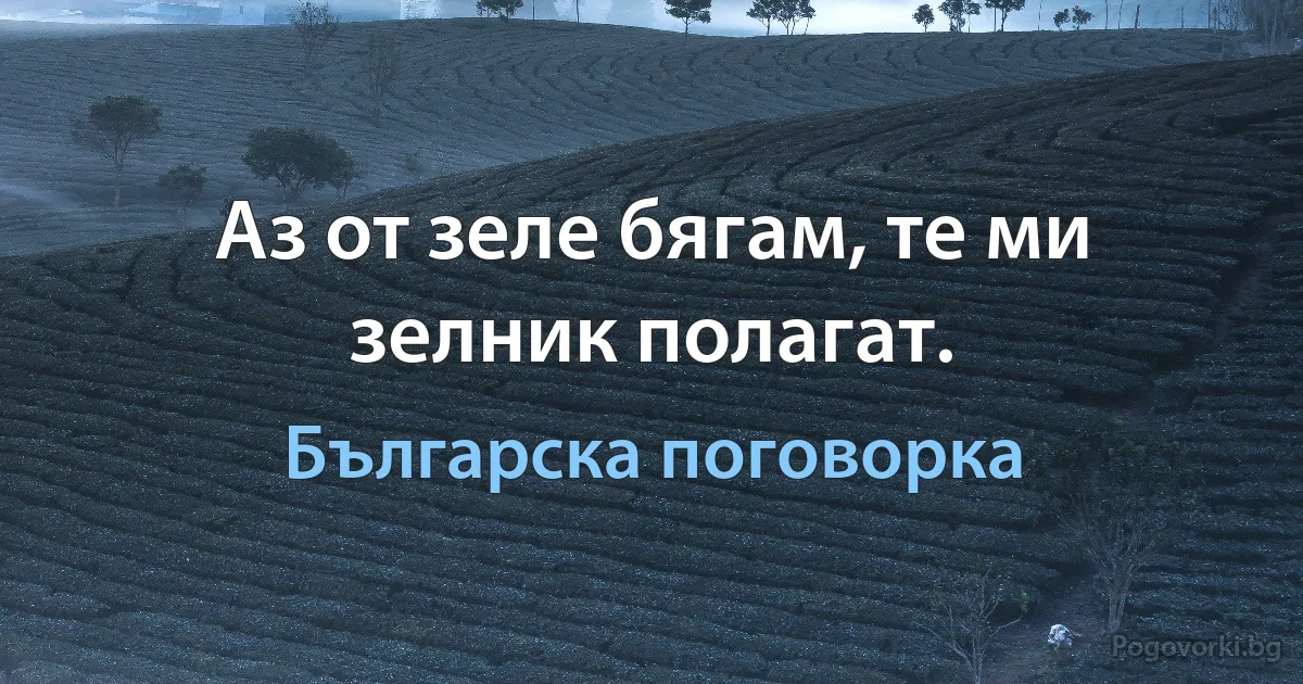 Аз от зеле бягам, те ми зелник полагат. (Българска поговорка)