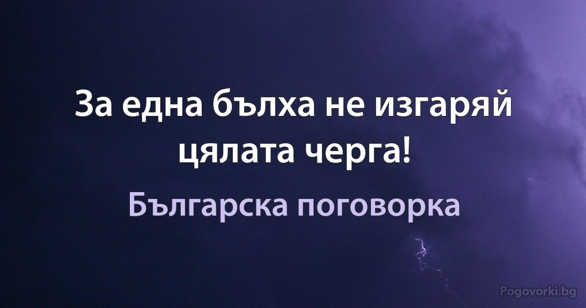 За една бълха не изгаряй цялата черга! (Българска поговорка)