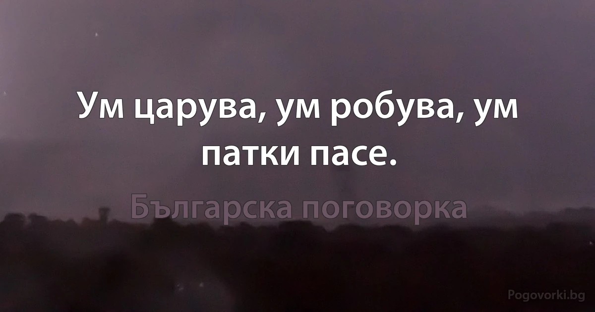 Ум царува, ум робува, ум патки пасе. (Българска поговорка)