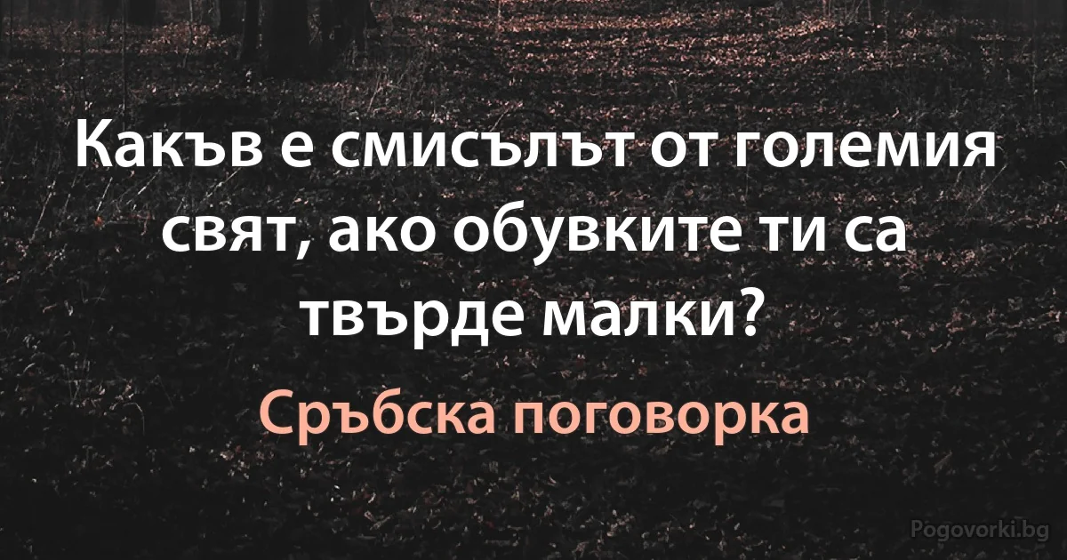 Какъв е смисълът от големия свят, ако обувките ти са твърде малки? (Сръбска поговорка)