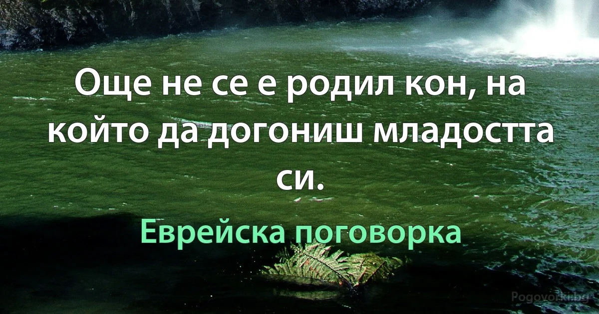 Още не се е родил кон, на който да догониш младостта си. (Еврейска поговорка)