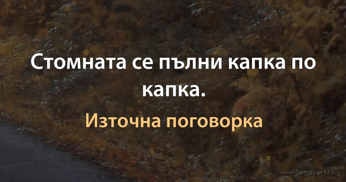 Стомната се пълни капка по капка. (Източна поговорка)