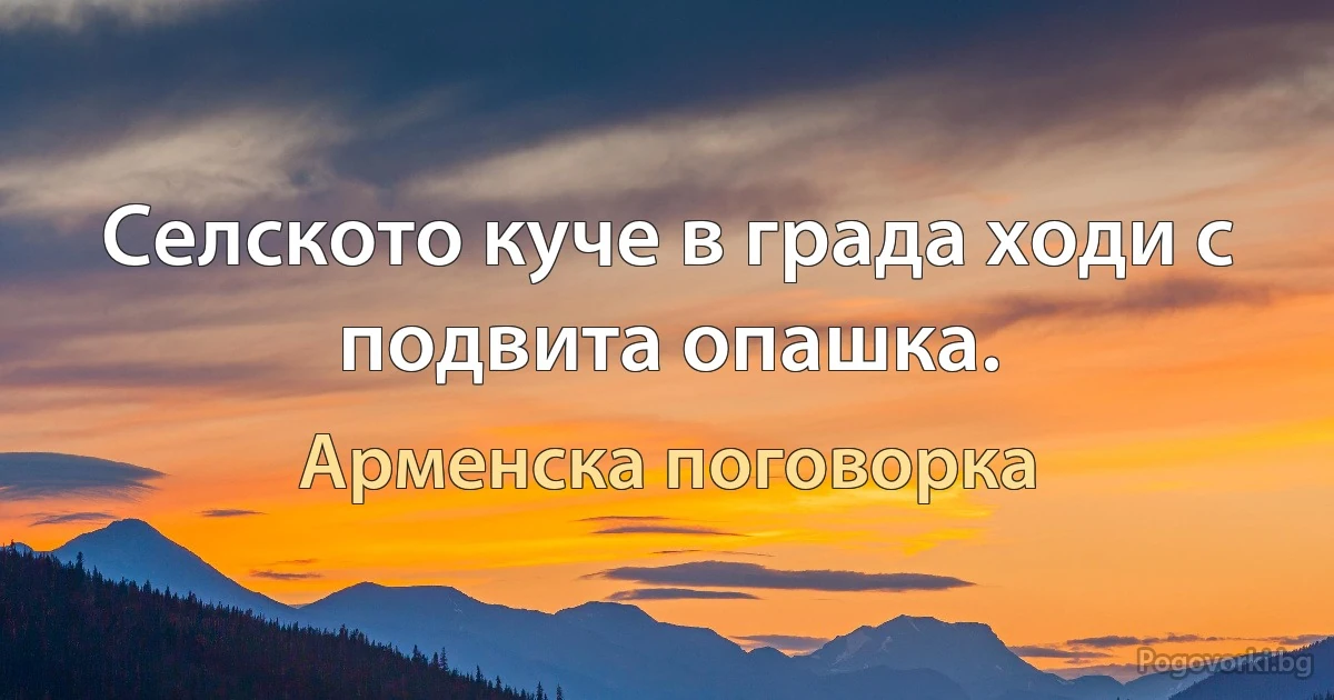 Селското куче в града ходи с подвита опашка. (Арменска поговорка)