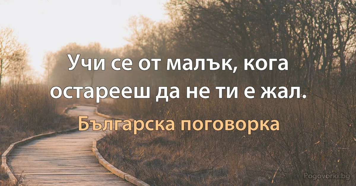 Учи се от малък, кога остарееш да не ти е жал. (Българска поговорка)