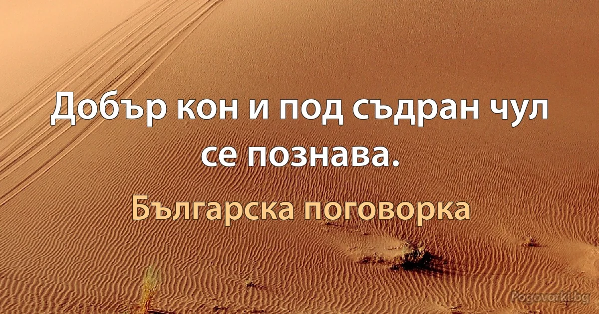 Добър кон и под съдран чул се познава. (Българска поговорка)