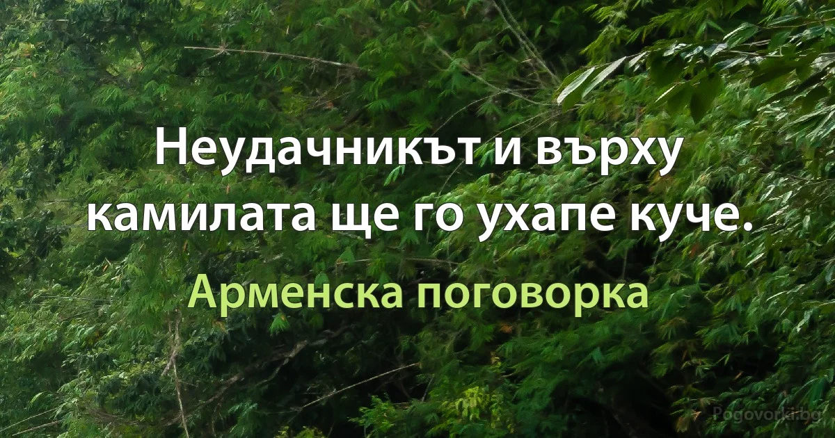 Неудачникът и върху камилата ще го ухапе куче. (Арменска поговорка)