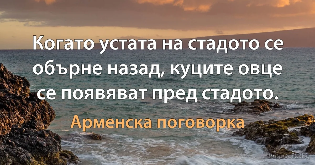 Когато устата на стадото се обърне назад, куците овце се появяват пред стадото. (Арменска поговорка)