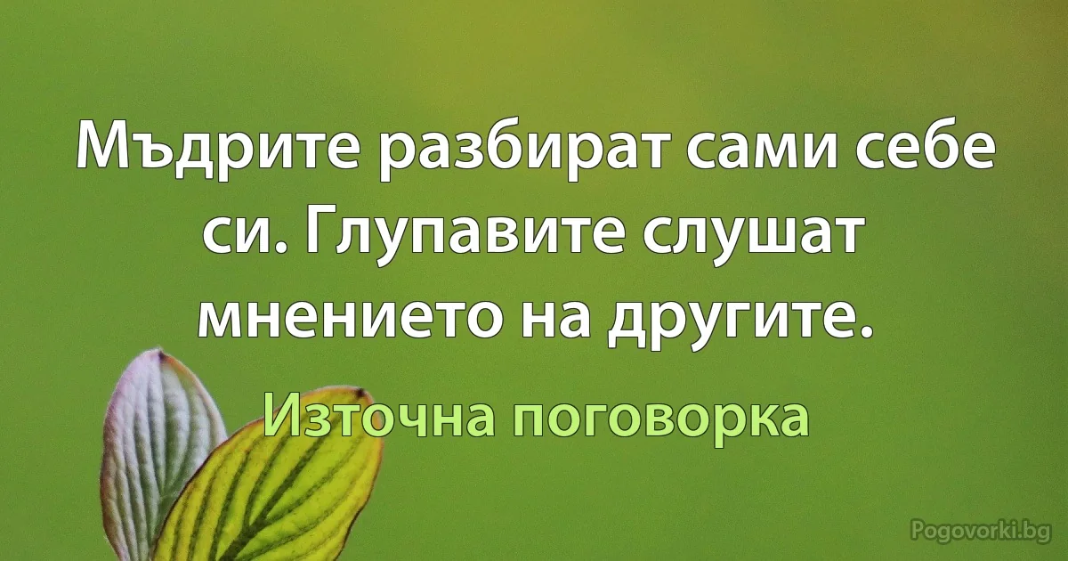 Мъдрите разбират сами себе си. Глупавите слушат мнението на другите. (Източна поговорка)