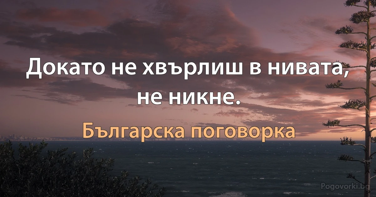 Докато не хвърлиш в нивата, не никне. (Българска поговорка)