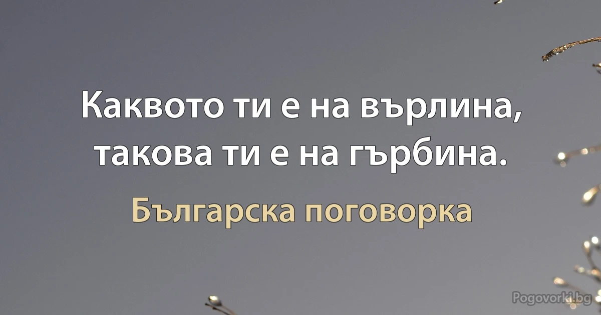 Каквото ти е на върлина, такова ти е на гърбина. (Българска поговорка)