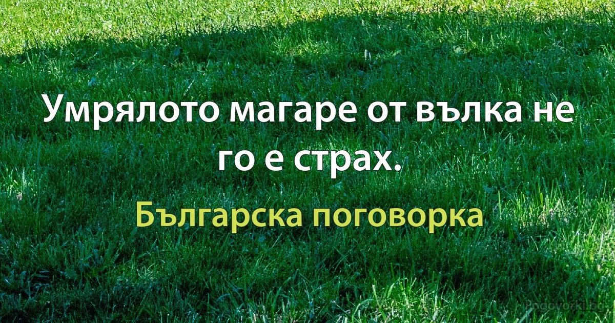 Умрялото магаре от вълка не го е страх. (Българска поговорка)