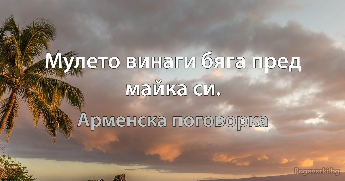 Мулето винаги бяга пред майка си. (Арменска поговорка)