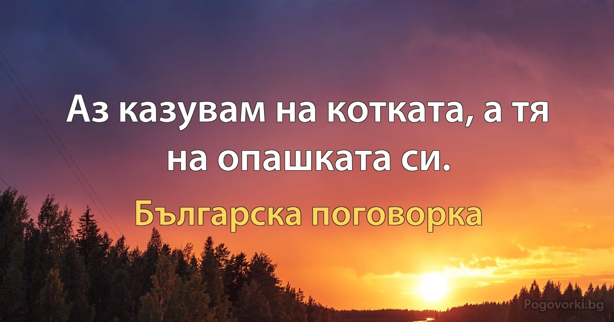 Аз казувам на котката, а тя на опашката си. (Българска поговорка)