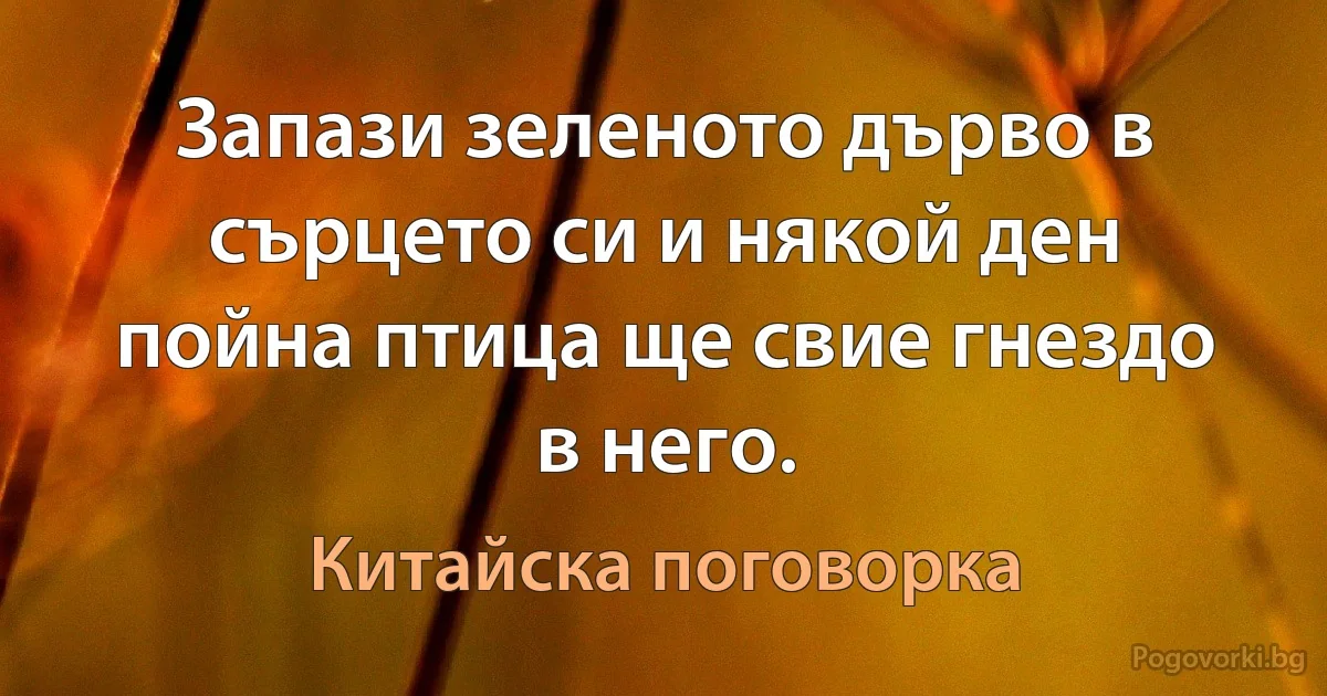 Запази зеленото дърво в сърцето си и някой ден пойна птица ще свие гнездо в него. (Китайска поговорка)