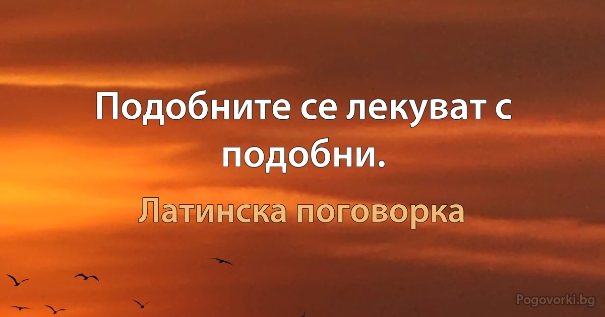 Подобните се лекуват с подобни. (Латинска поговорка)