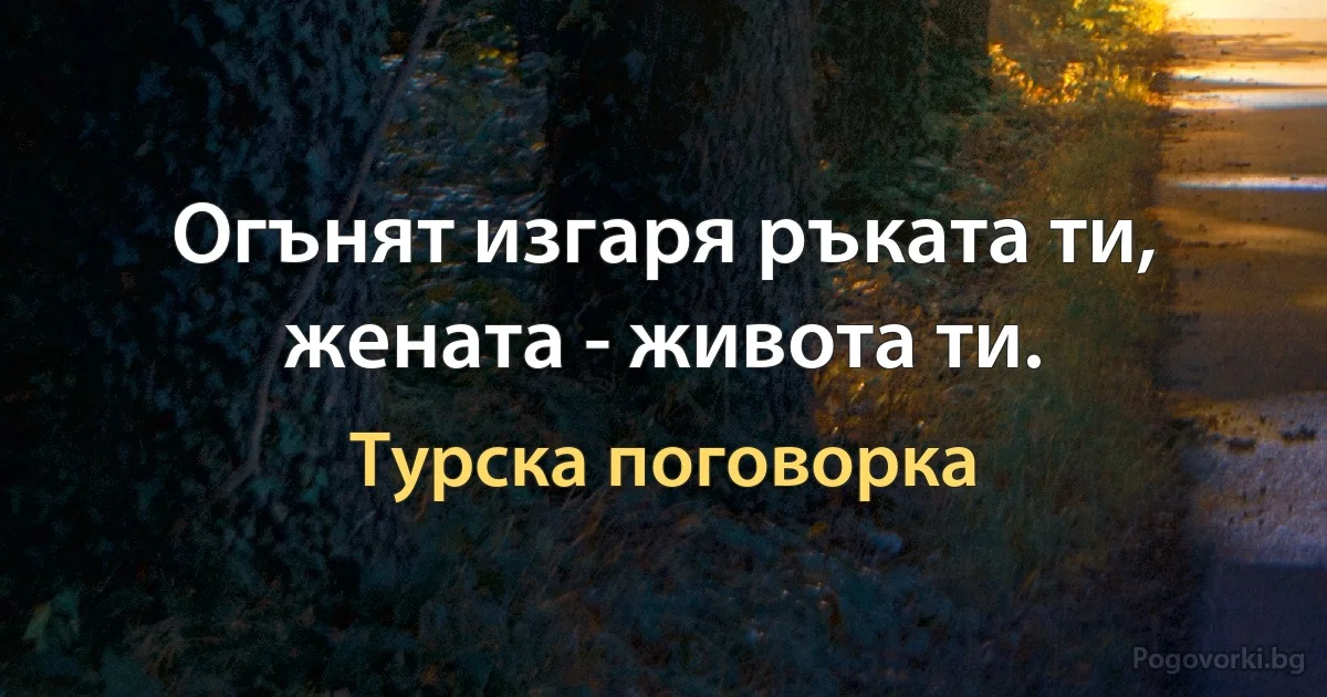 Огънят изгаря ръката ти, жената - живота ти. (Турска поговорка)