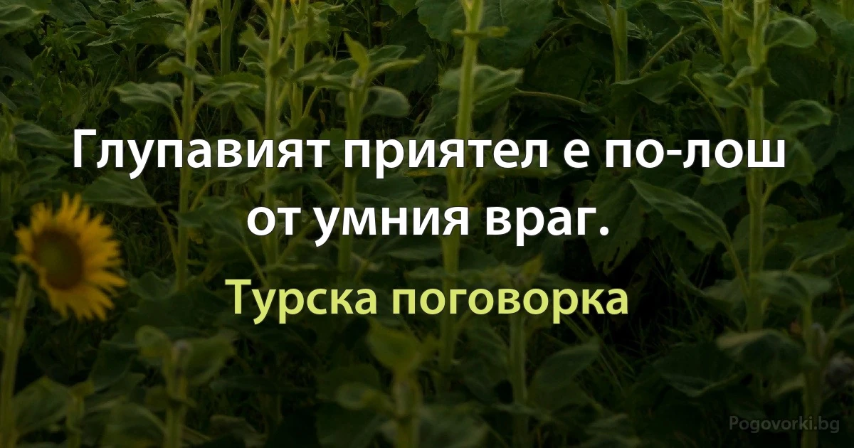 Глупавият приятел е по-лош от умния враг. (Турска поговорка)
