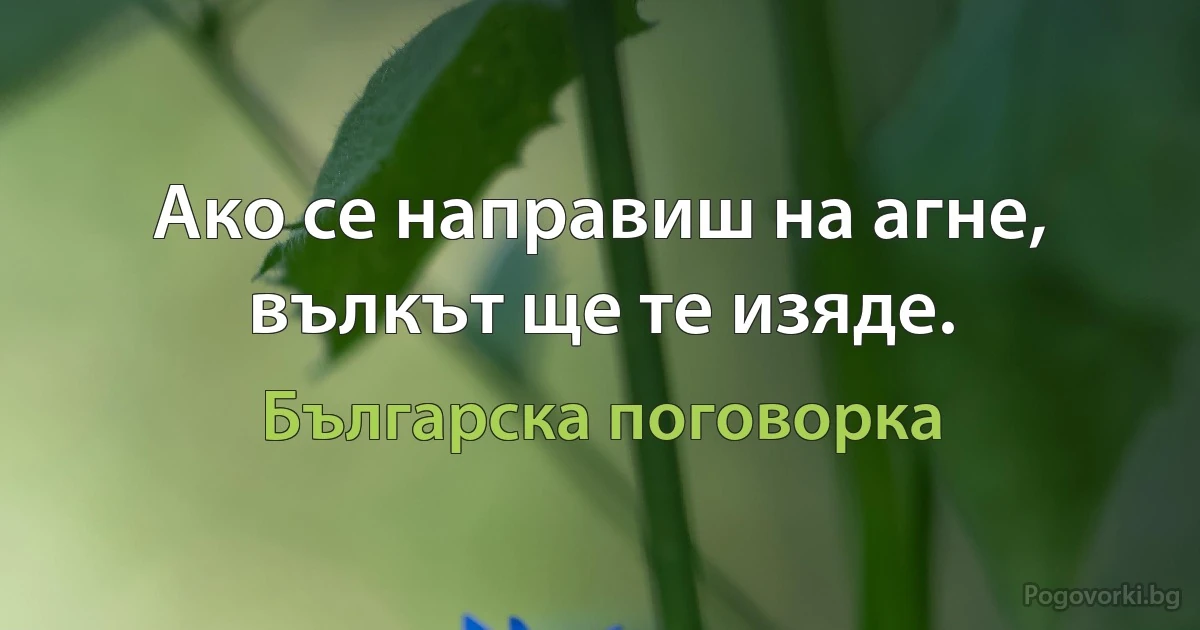 Ако се направиш на агне, вълкът ще те изяде. (Българска поговорка)