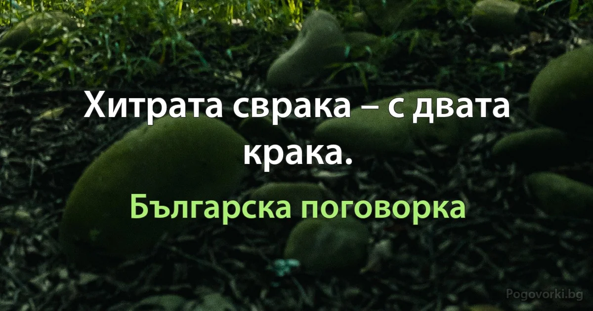 Хитрата сврака – с двата крака. (Българска поговорка)