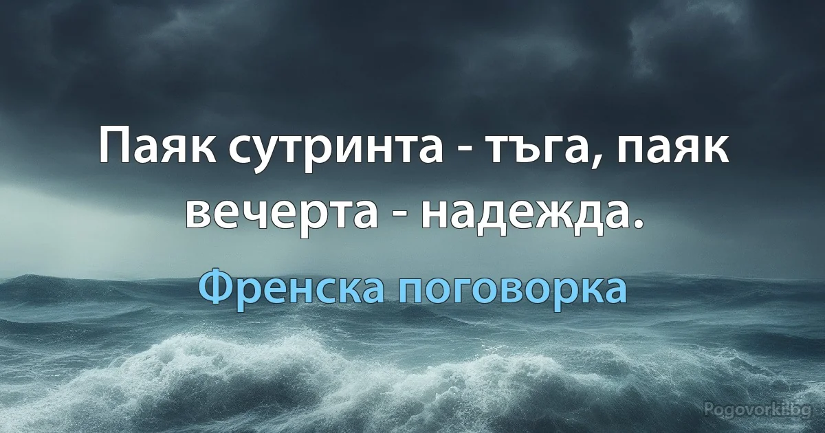 Паяк сутринта - тъга, паяк вечерта - надежда. (Френска поговорка)