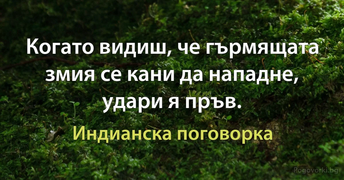 Когато видиш, че гърмящата змия се кани да нападне, удари я пръв. (Индианска поговорка)