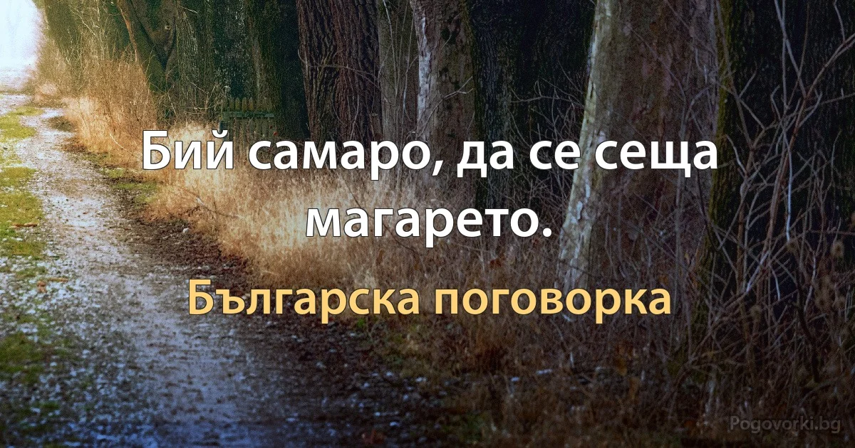 Бий самаро, да се сеща магарето. (Българска поговорка)