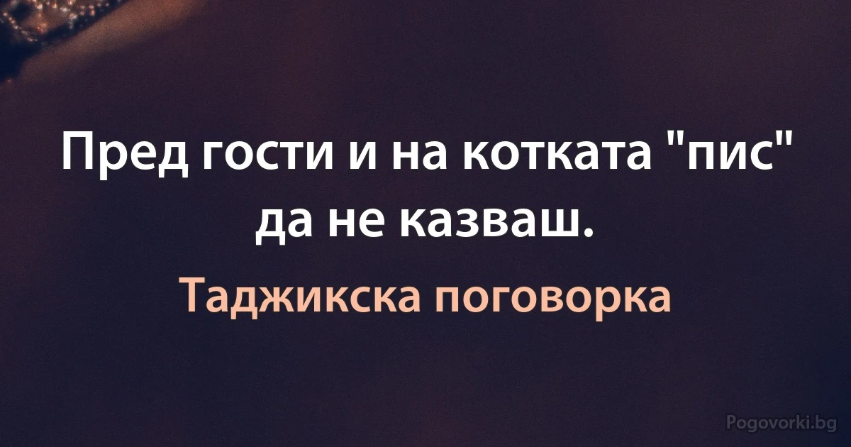 Пред гости и на котката "пис" да не казваш. (Таджикска поговорка)