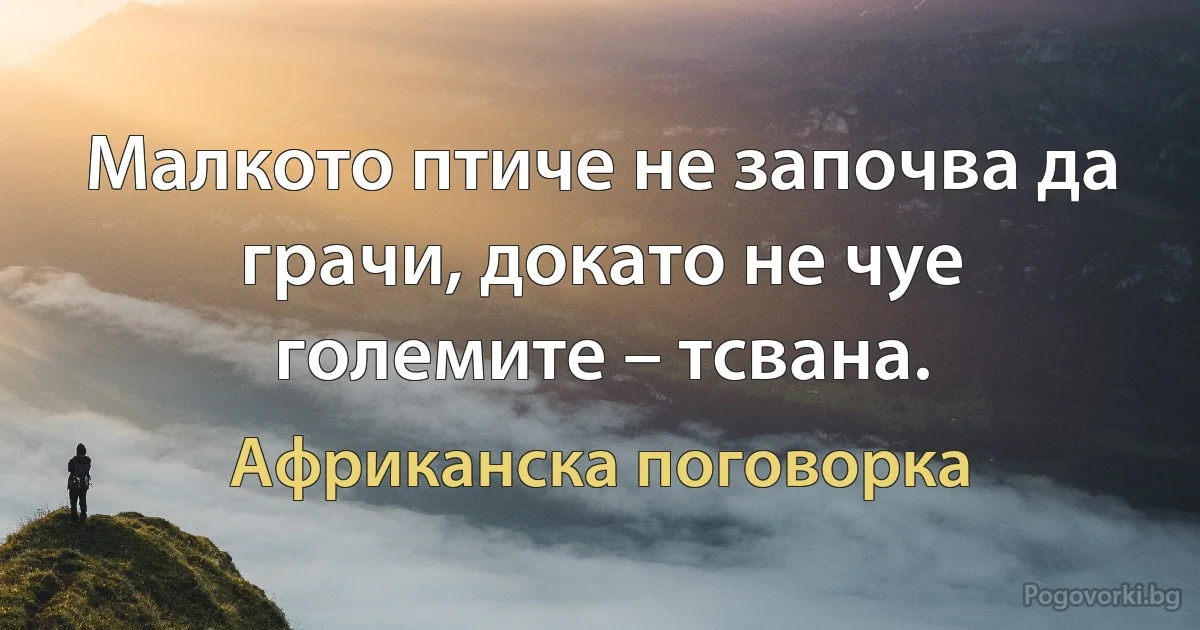 Малкото птиче не започва да грачи, докато не чуе големите – тсвана. (Африканска поговорка)