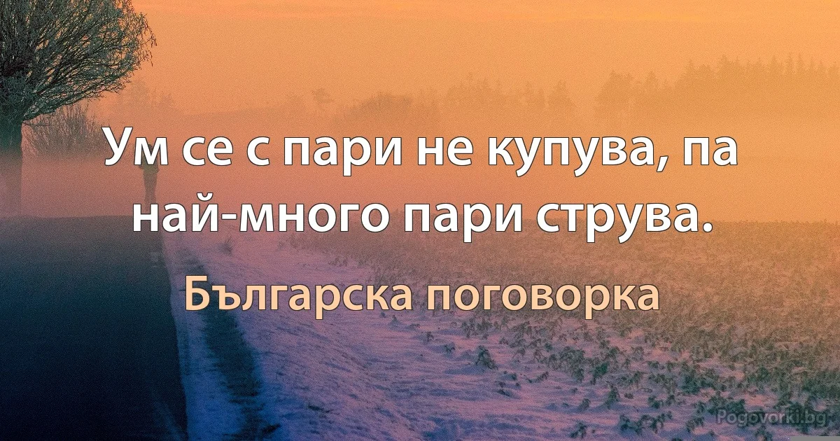 Ум се с пари не купува, па най-много пари струва. (Българска поговорка)