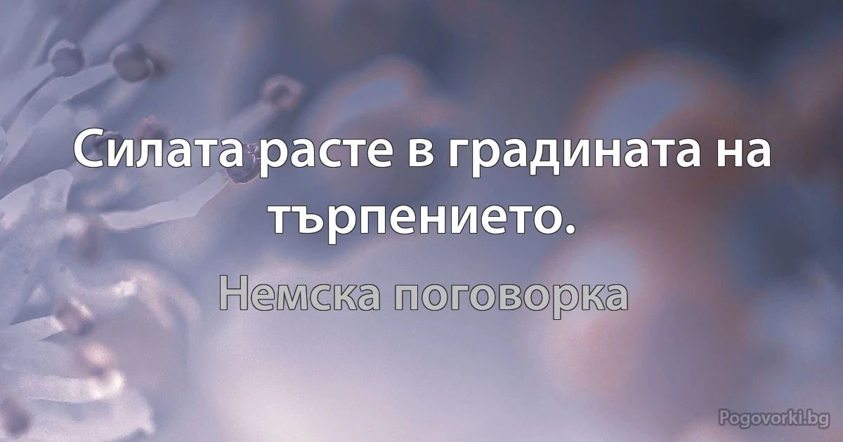 Силата расте в градината на търпението. (Немска поговорка)