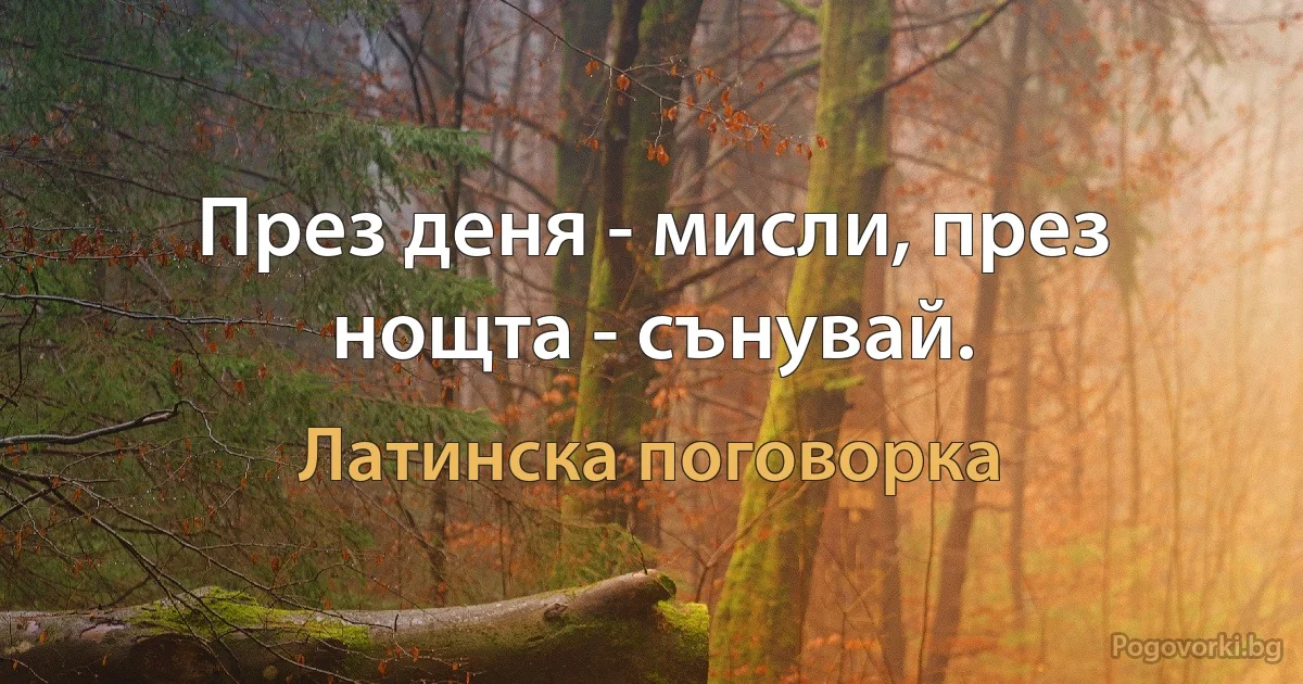 През деня - мисли, през нощта - сънувай. (Латинска поговорка)