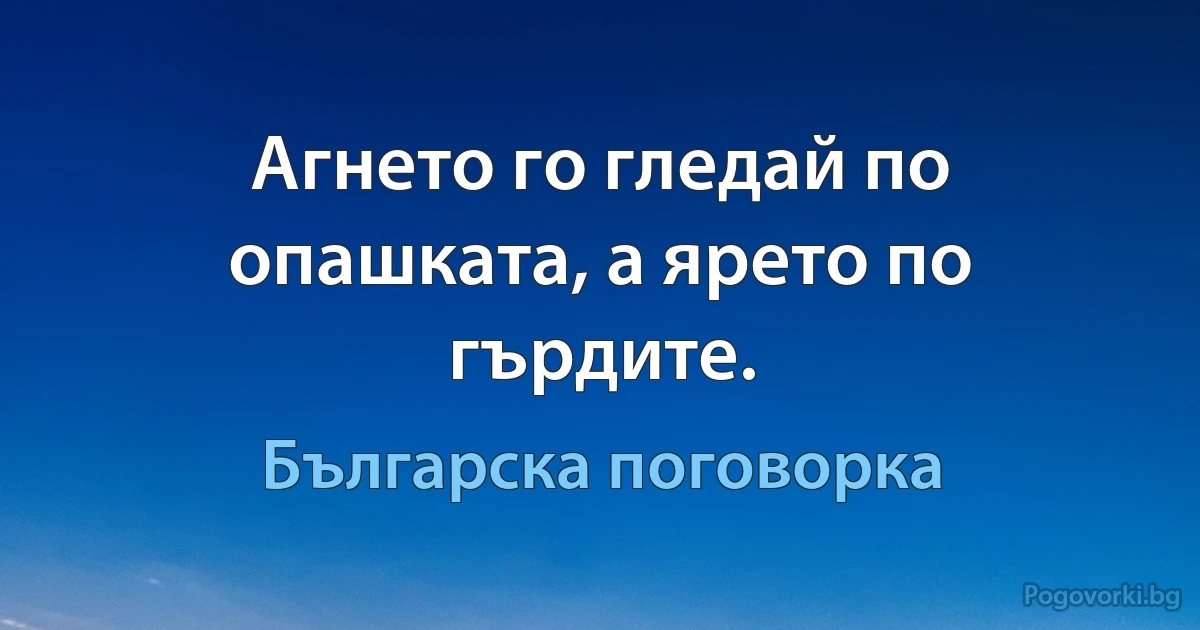 Агнето го гледай по опашката, а ярето по гърдите. (Българска поговорка)