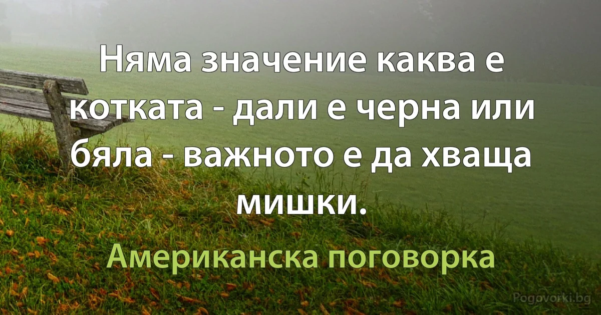 Няма значение каква е котката - дали е черна или бяла - важното е да хваща мишки. (Американска поговорка)