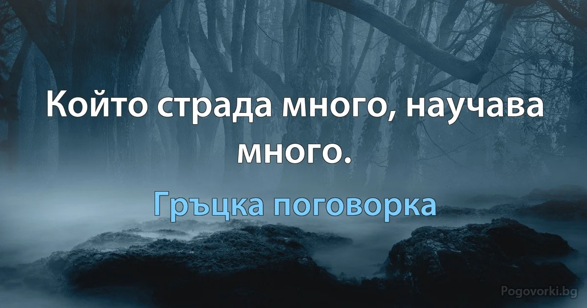 Който страда много, научава много. (Гръцка поговорка)