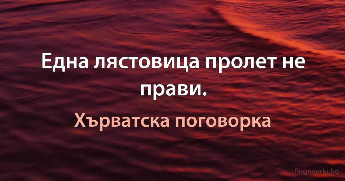 Една лястовица пролет не прави. (Хърватска поговорка)