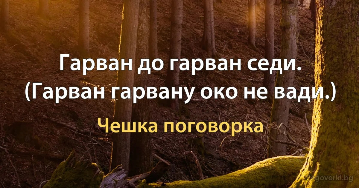 Гарван до гарван седи. (Гарван гарвану око не вади.) (Чешка поговорка)