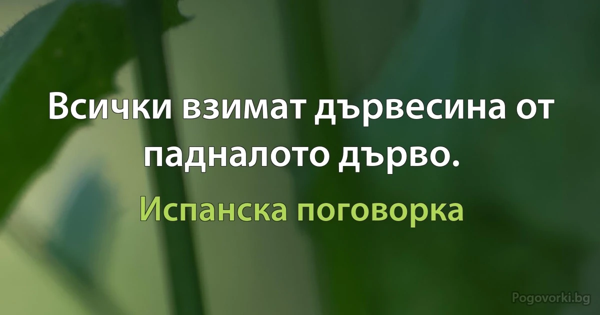 Всички взимат дървесина от падналото дърво. (Испанска поговорка)