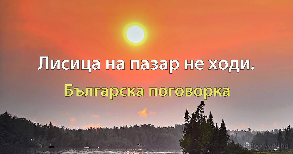 Лисица на пазар не ходи. (Българска поговорка)