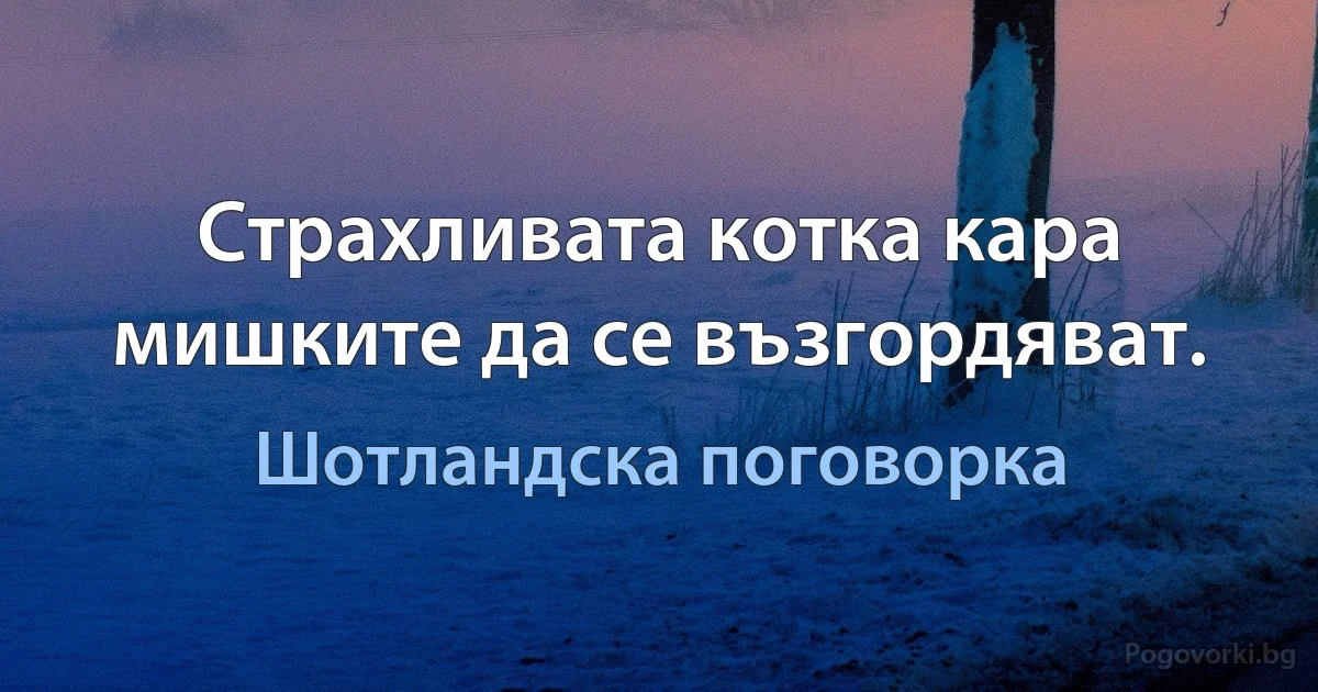 Страхливата котка кара мишките да се възгордяват. (Шотландска поговорка)