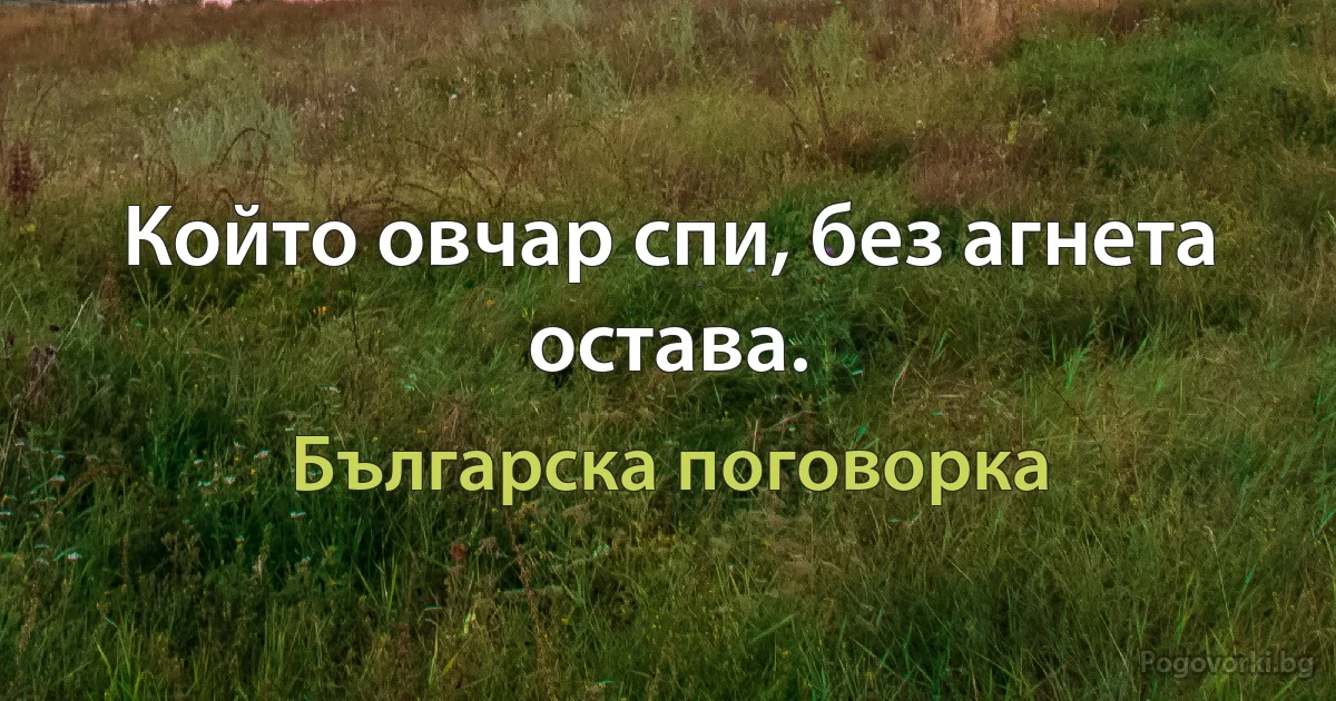 Който овчар спи, без агнета остава. (Българска поговорка)