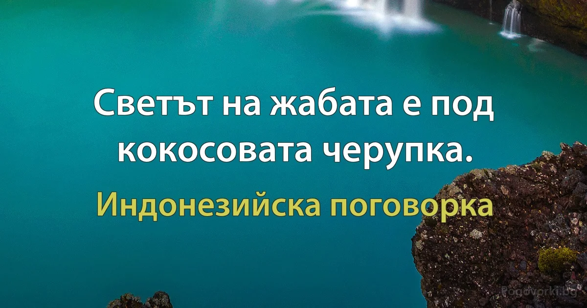 Светът на жабата е под кокосовата черупка. (Индонезийска поговорка)