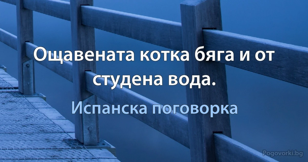 Ощавената котка бяга и от студена вода. (Испанска поговорка)