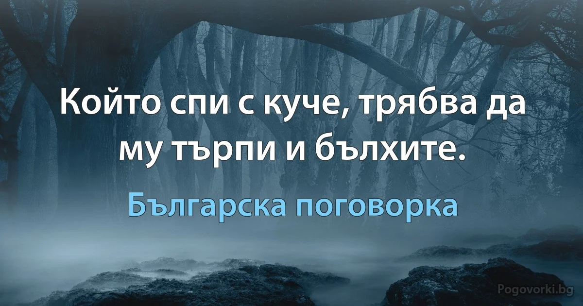 Който спи с куче, трябва да му търпи и бълхите. (Българска поговорка)