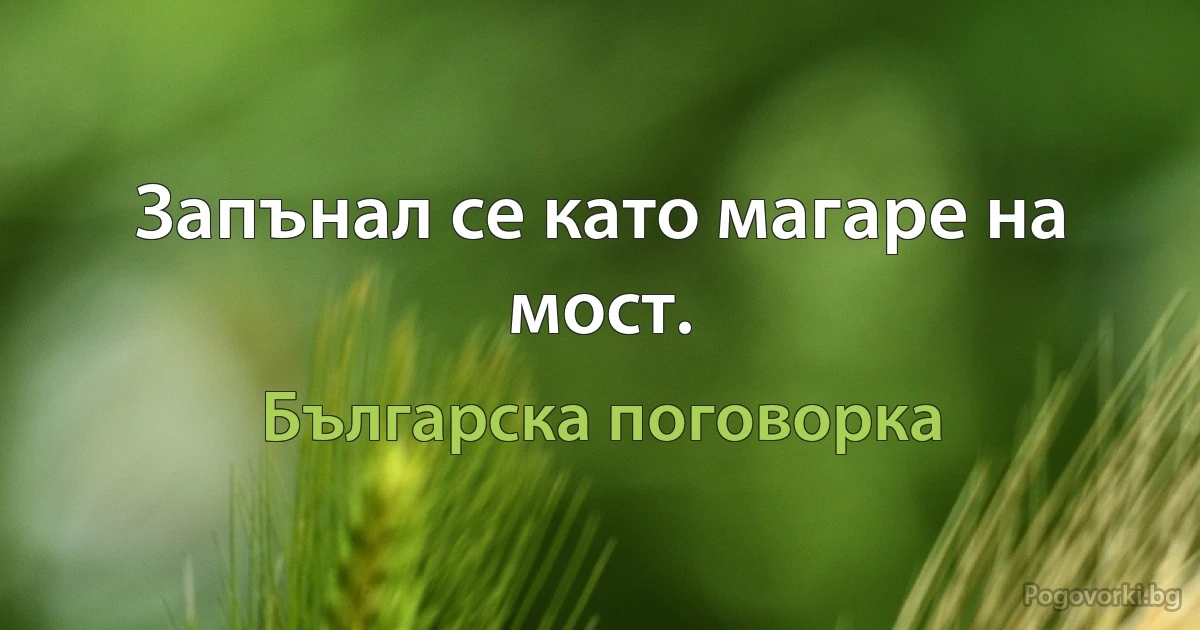 Запънал се като магаре на мост. (Българска поговорка)