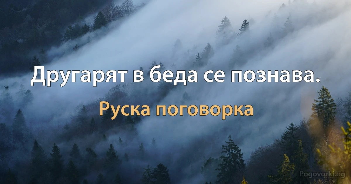 Другарят в беда се познава. (Руска поговорка)