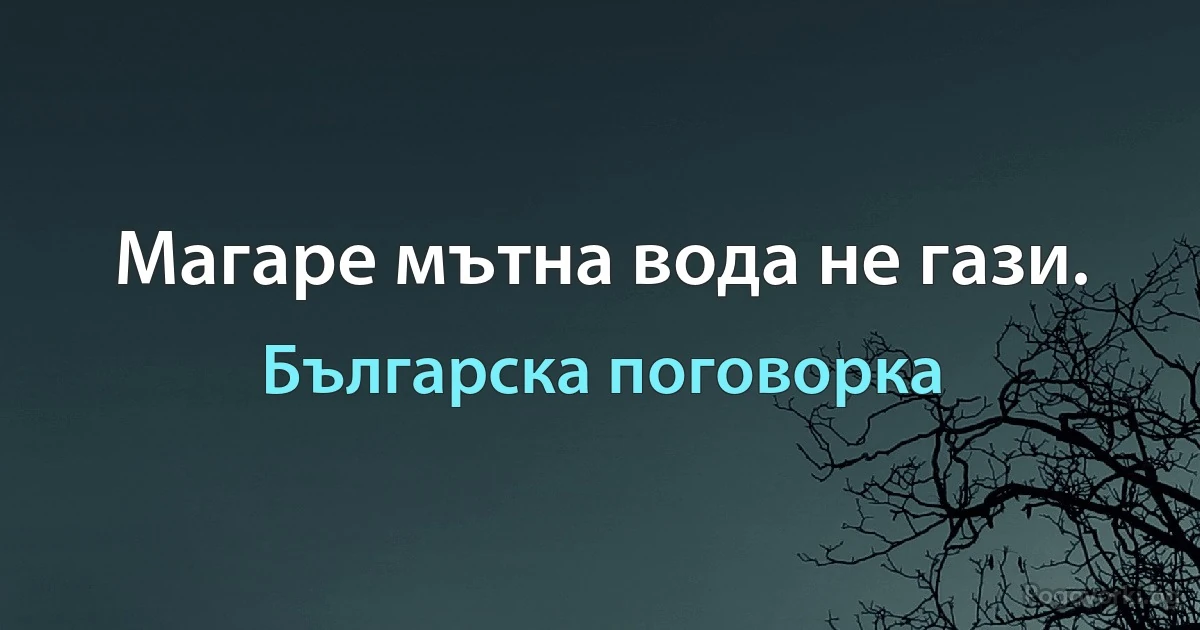 Магаре мътна вода не гази. (Българска поговорка)