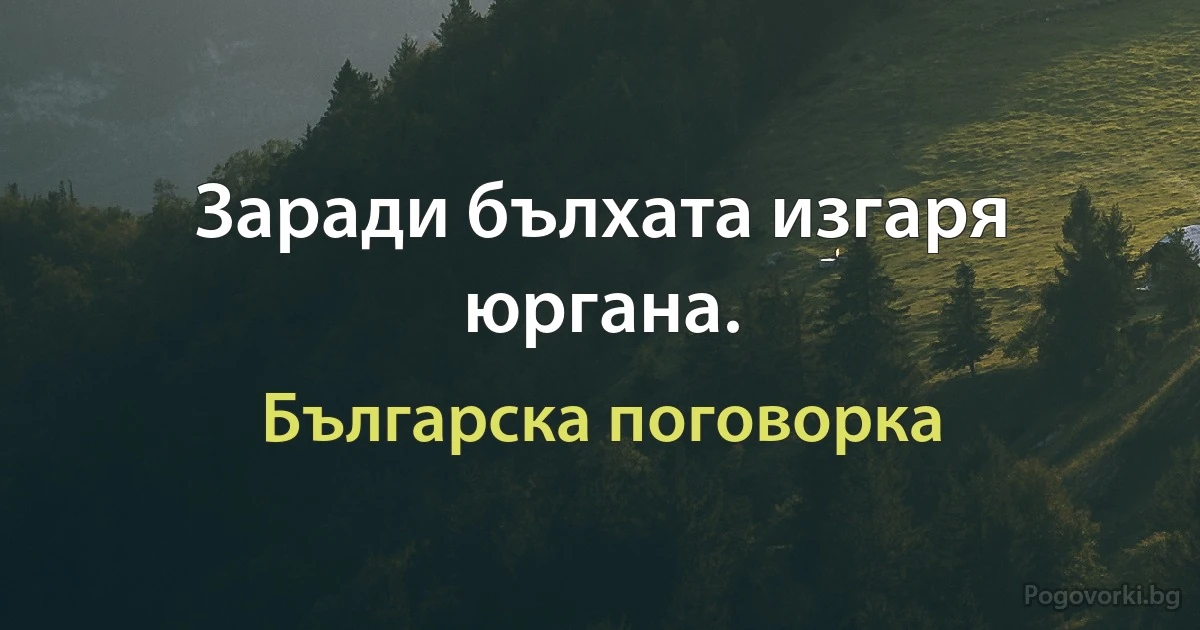 Заради бълхата изгаря юргана. (Българска поговорка)