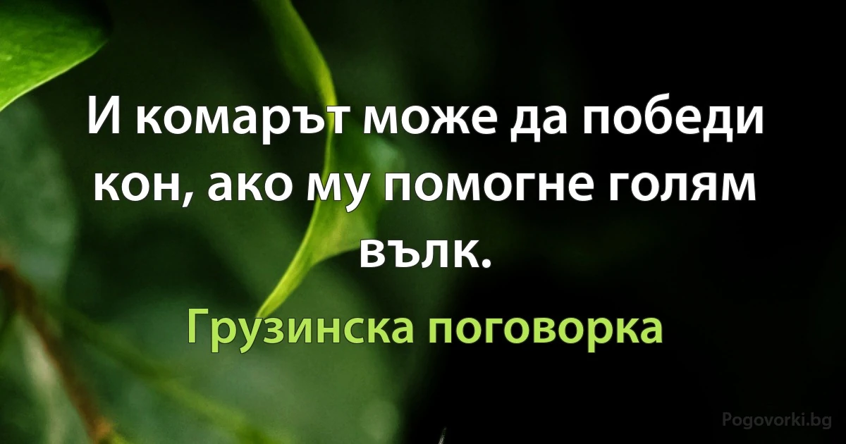 И комарът може да победи кон, ако му помогне голям вълк. (Грузинска поговорка)