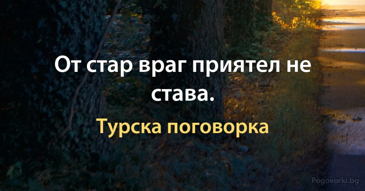 От стар враг приятел не става. (Турска поговорка)