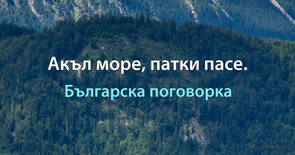 Акъл море, патки пасе. (Българска поговорка)